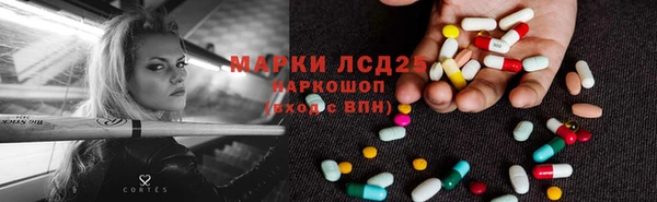 винт Богданович