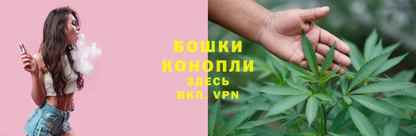винт Богданович